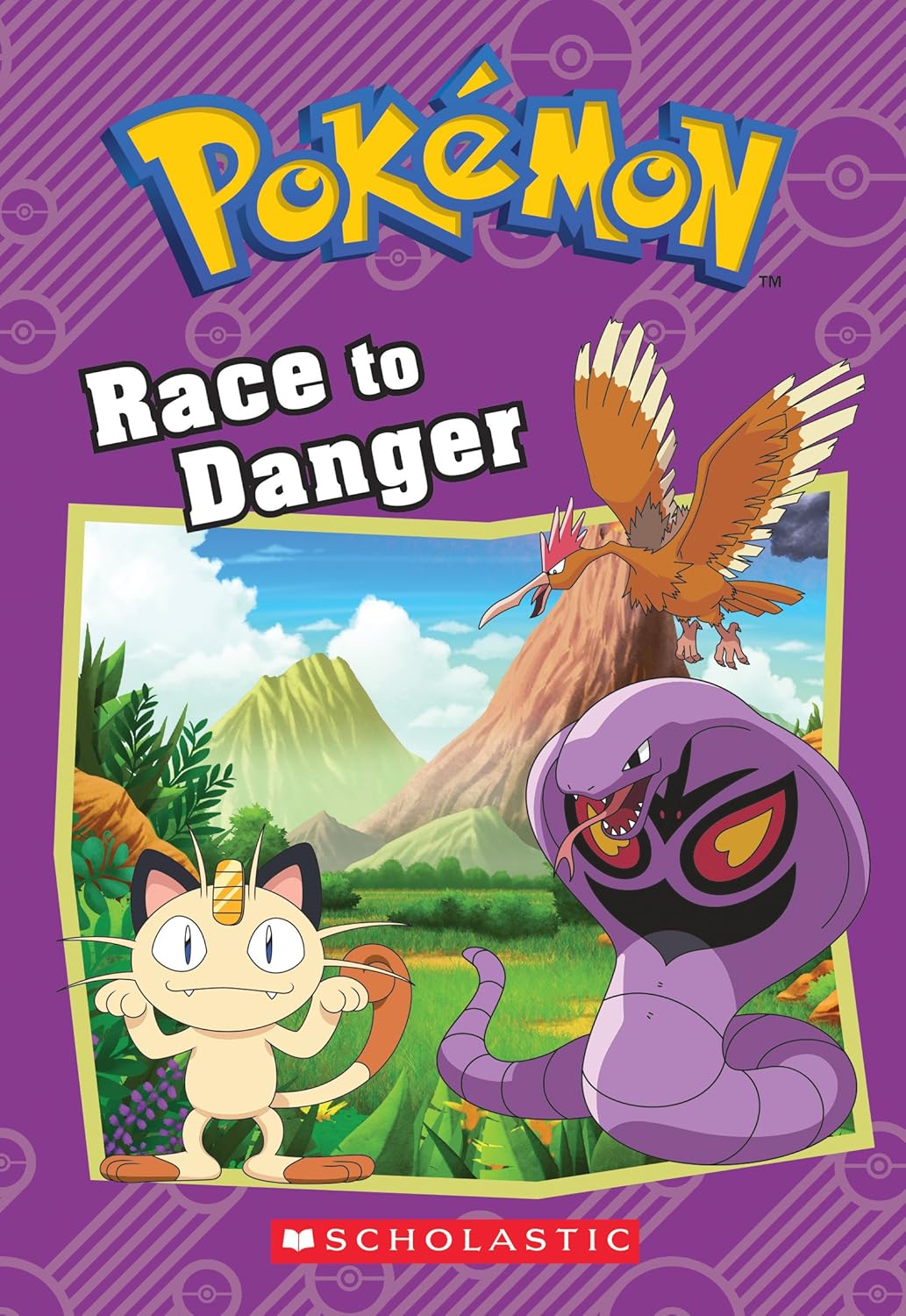 Race to Danger (Pokémon Chapter Books)