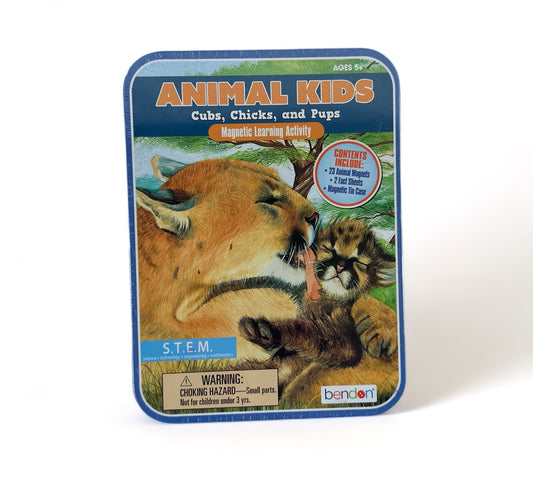 Animal Kids Magnetic Learning Activity