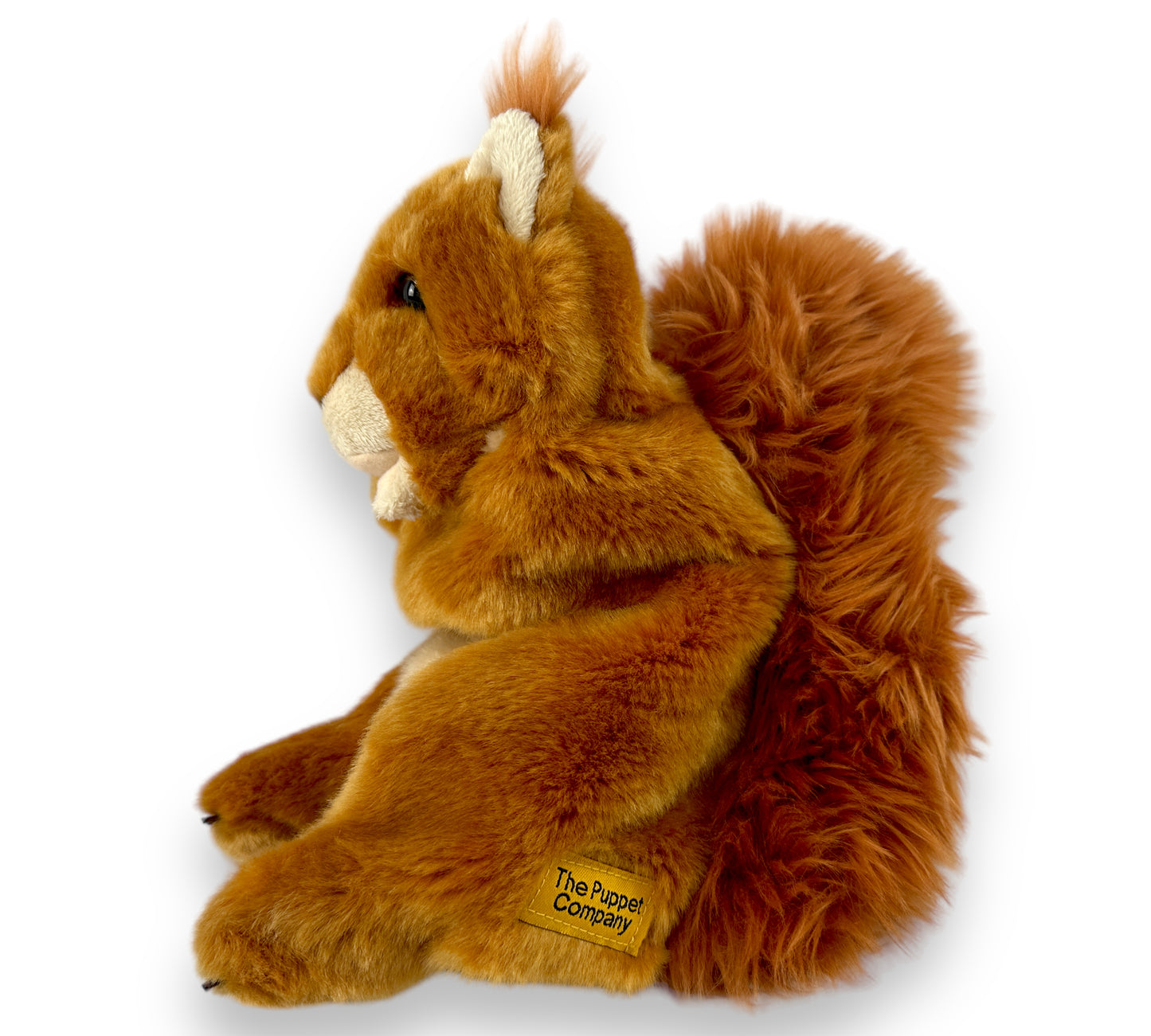 Long Sleeved Red Squirrel