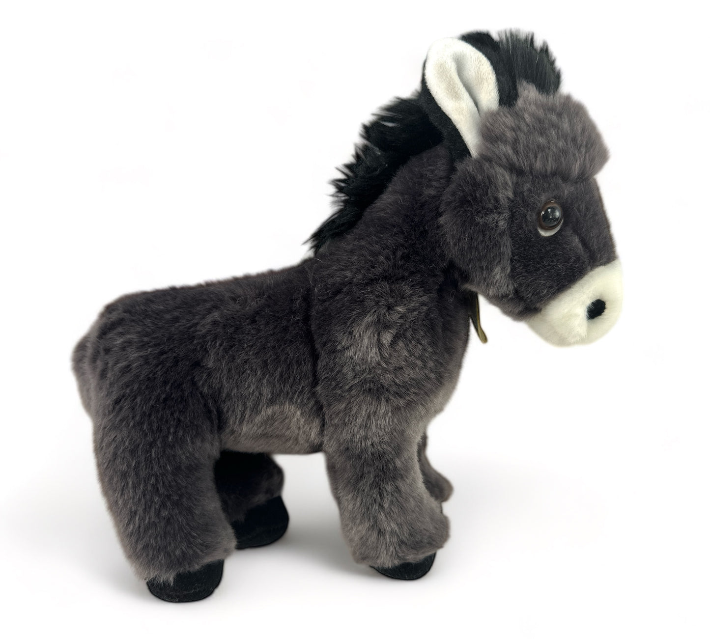 Aurora The Donkey