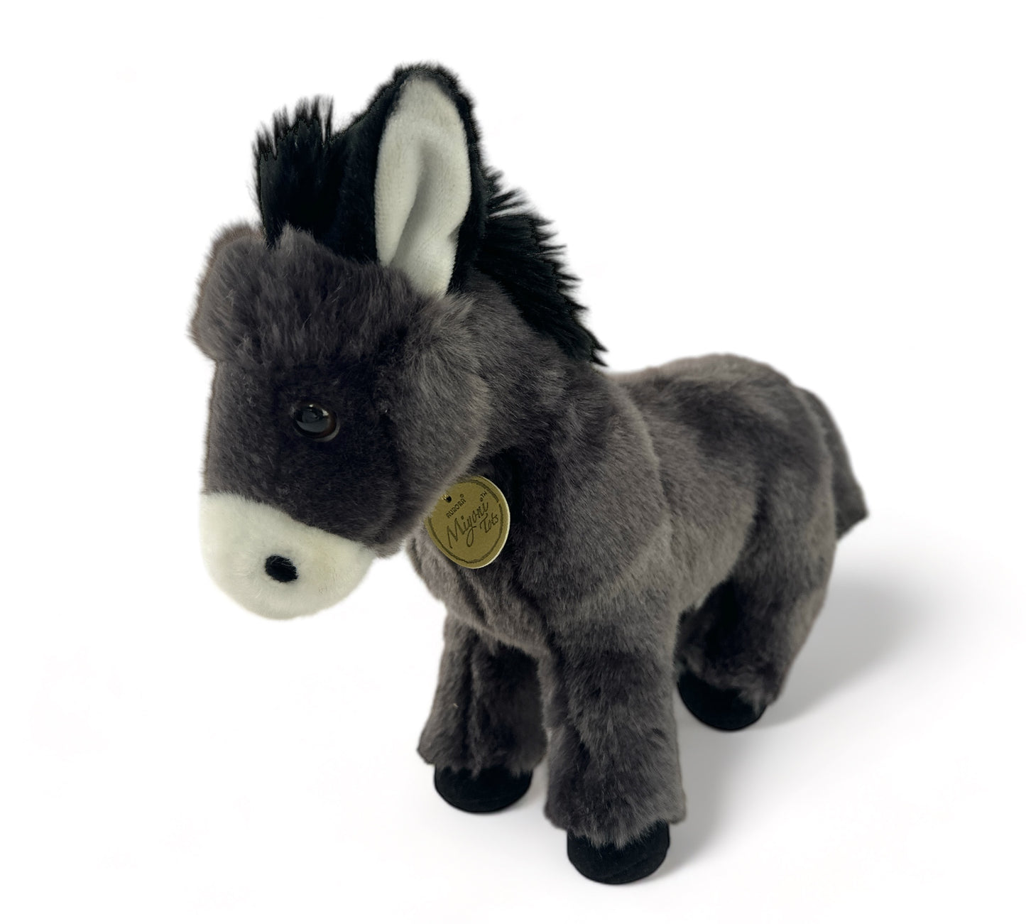 Aurora The Donkey