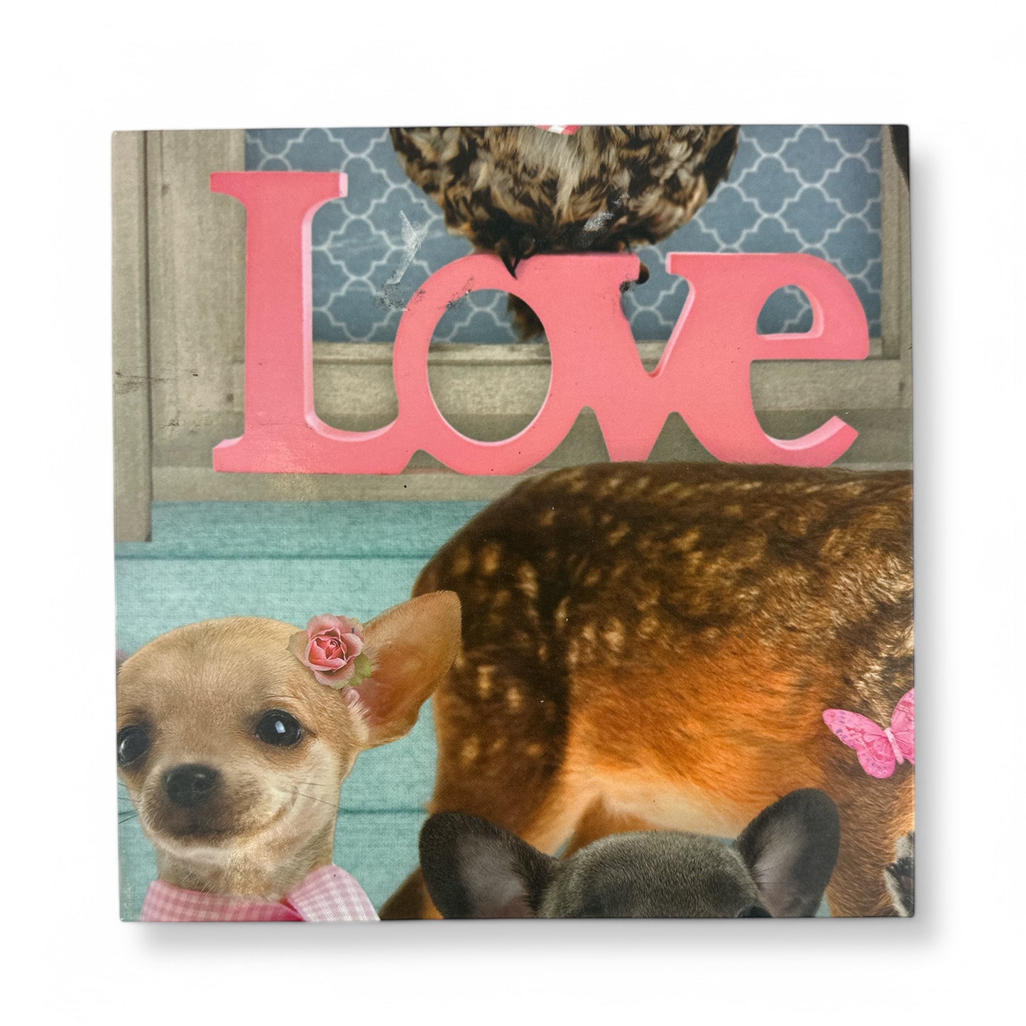 Love Pets Jigsaw Puzzle