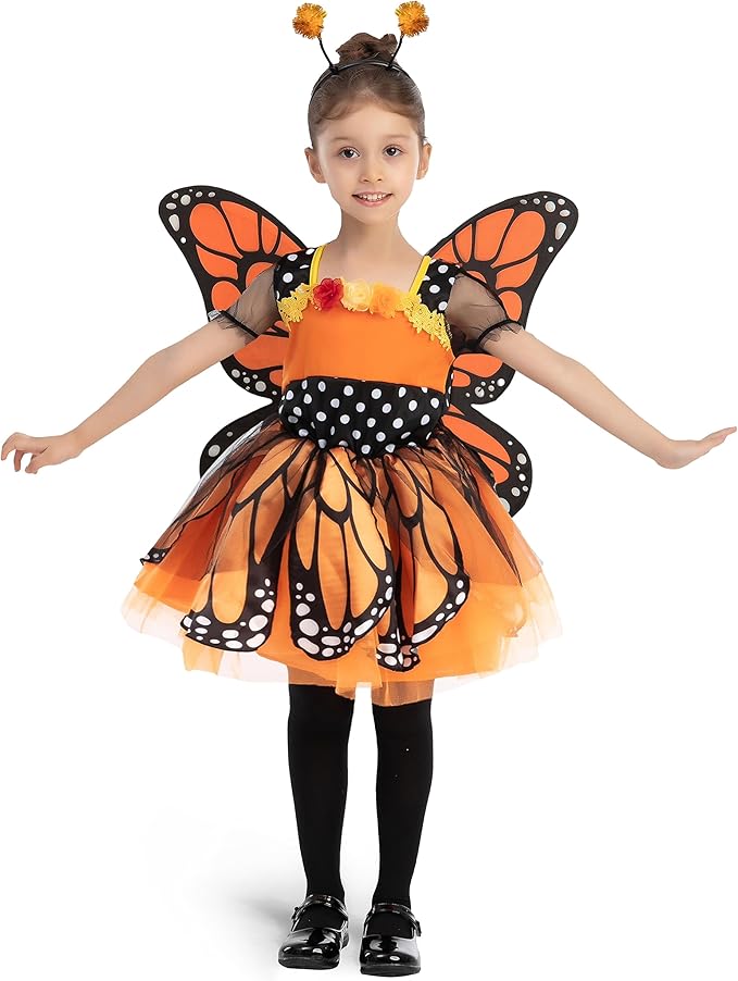 Size 3T Butterfly Costume