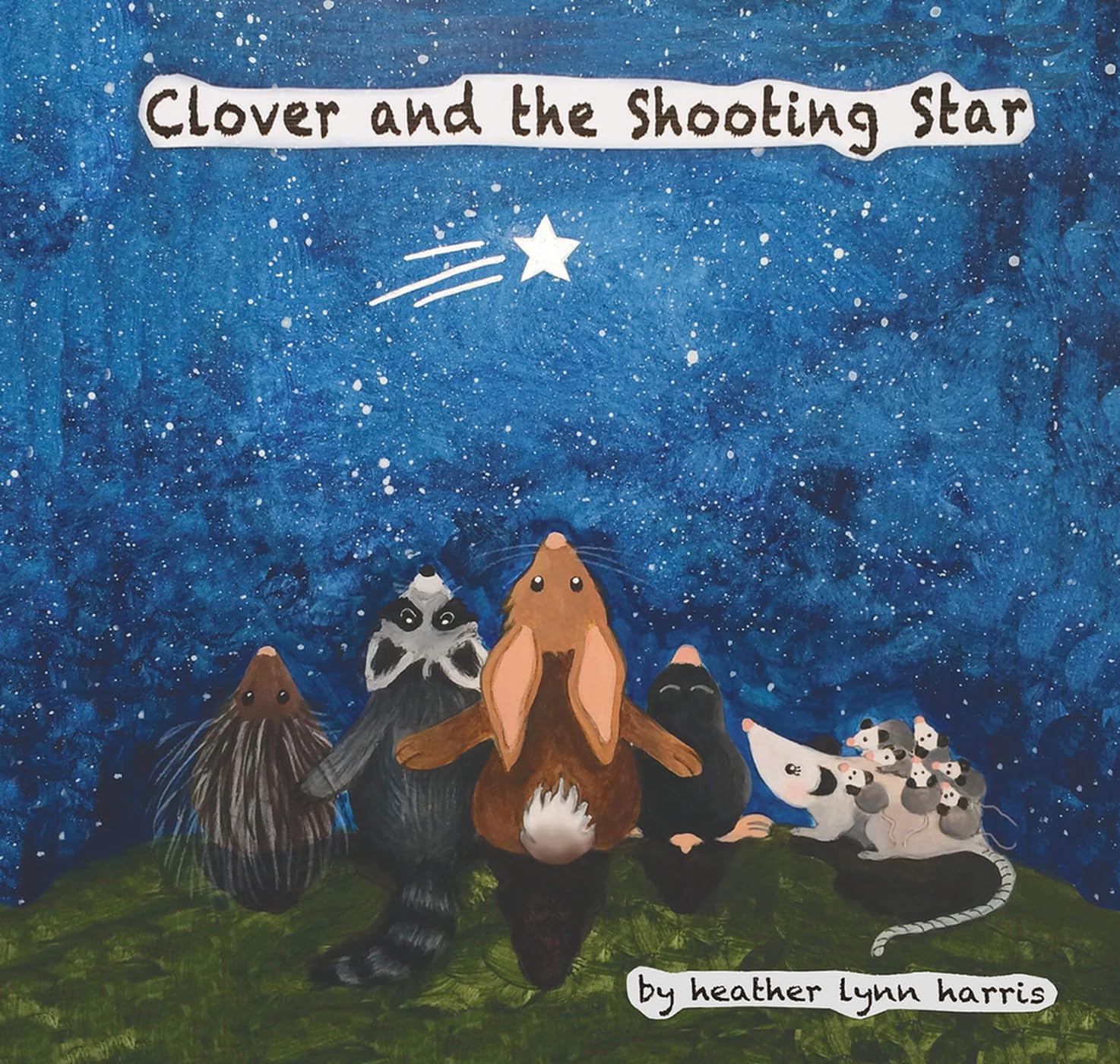 Clover and the Shooting Star