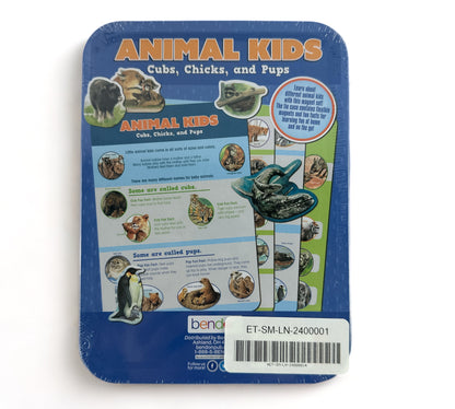 Animal Kids Magnetic Learning Activity