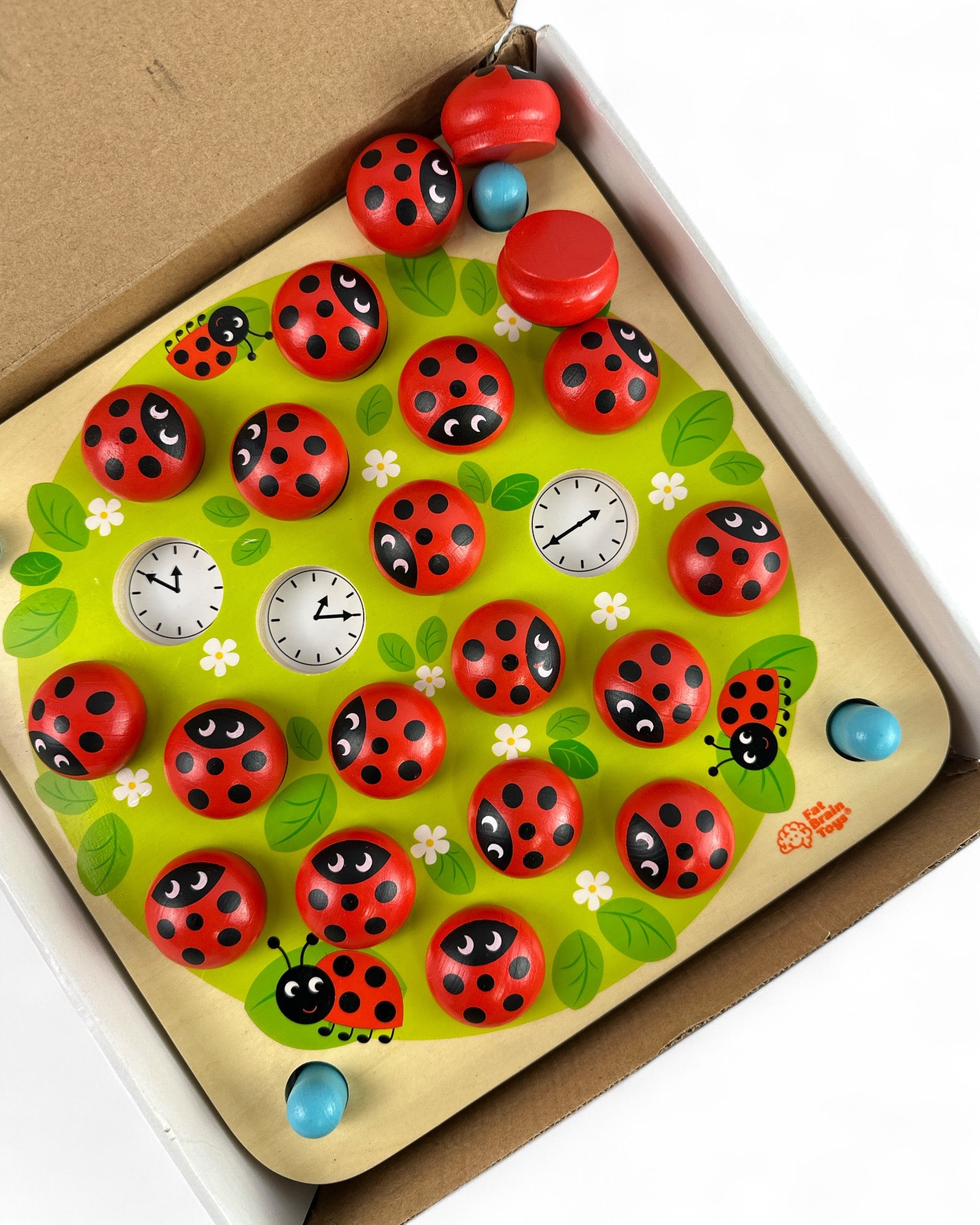 Ladybug's Garden Memory Game