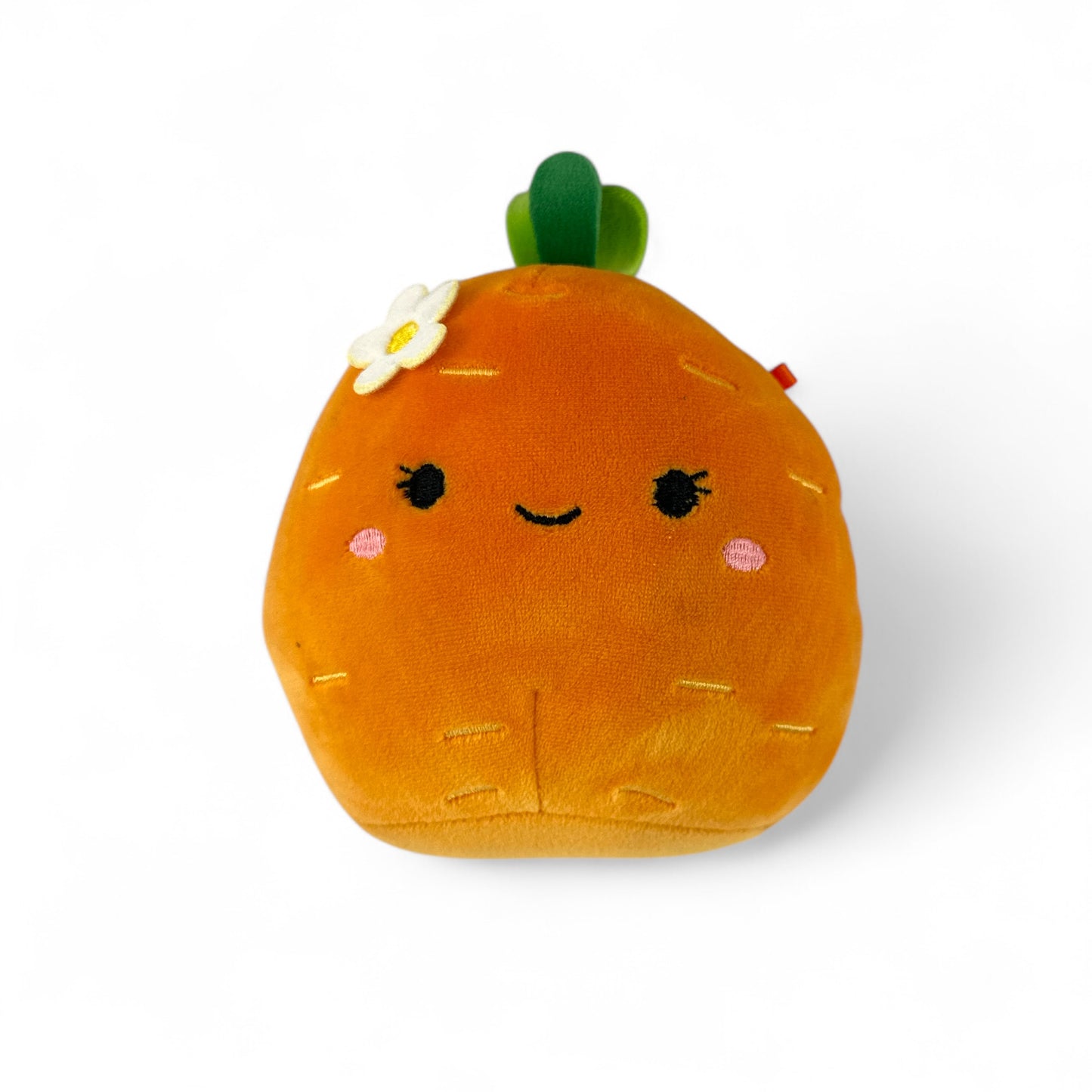 Caroleena Carrot, Plush 8" Carrot Toy